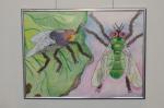 9688-aab42.jpg - 